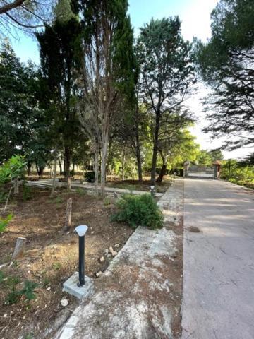 جيوفيناتسو B&B A Pochi Passi Dal Mare المظهر الخارجي الصورة